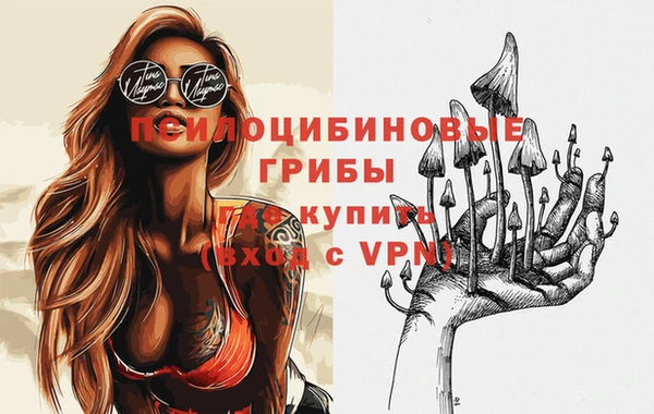 альфа пвп Новокубанск