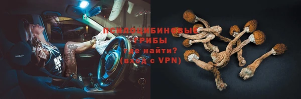 а пвп мука Богородск