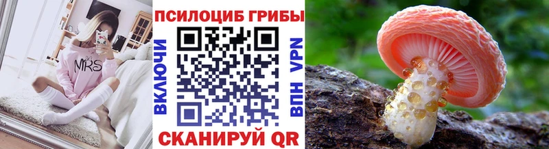 Псилоцибиновые грибы Magic Shrooms  это как зайти  Бежецк 